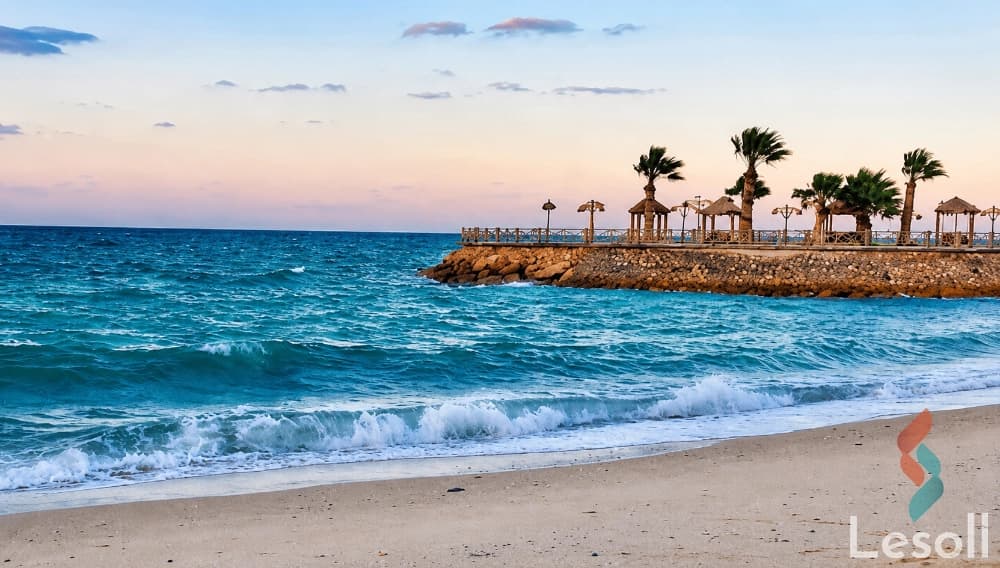 شاليه أول صف بحر للإيجار اليومي في بلومار الدوم – العين السخنة | 120م ورووف خاص مجهز شاليه أول صف بحر للإيجار اليومي في بلومار الدوم – العين السخنة | 120م ورووف خاص مجهز