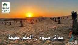 تملك ارض 5 فدان زراعية بنخيل سيوي_  بسيوة مطروح 