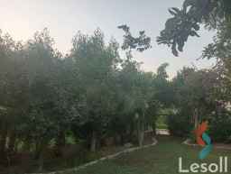 فيلا للبيع في  مدينة الشروق داخل كمبوند النخيل