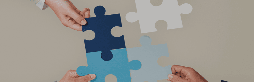 About us: Our Mission and Vision at Lesoll