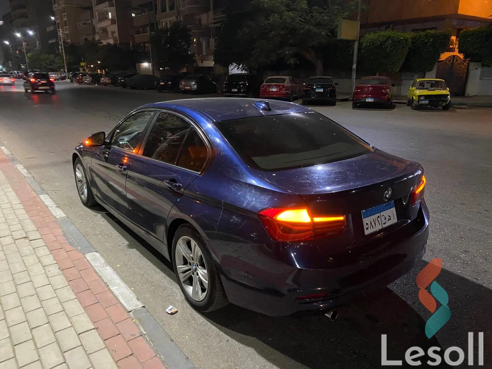 بي ام دبليو 318i اوتوماتك مستعملة كحلي موديل 2019 - صورة 4