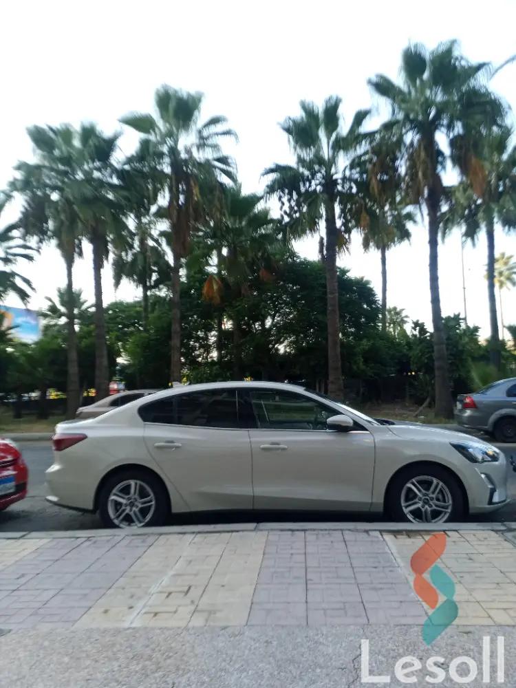 Ford focus automatic new white model 2025 - All Images