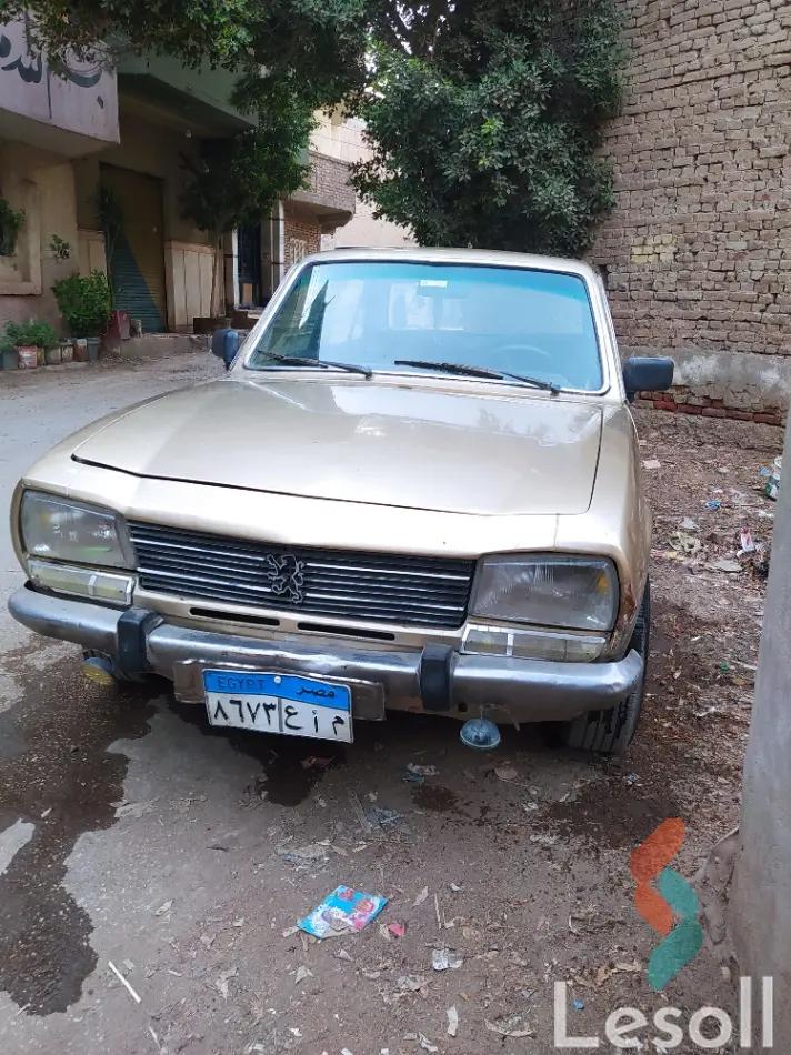 بيجو 405 مانيوال مستعملة ذهبي موديل 1987