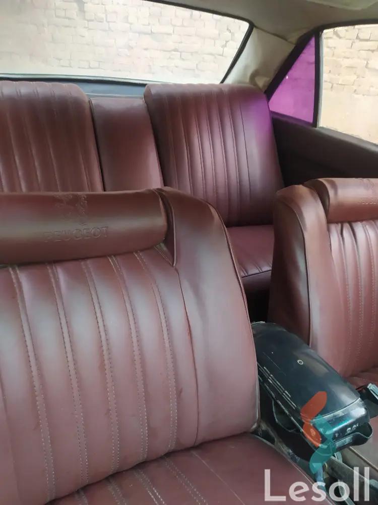 بيجو 405 مانيوال مستعملة ذهبي موديل 1987 - كل الصور