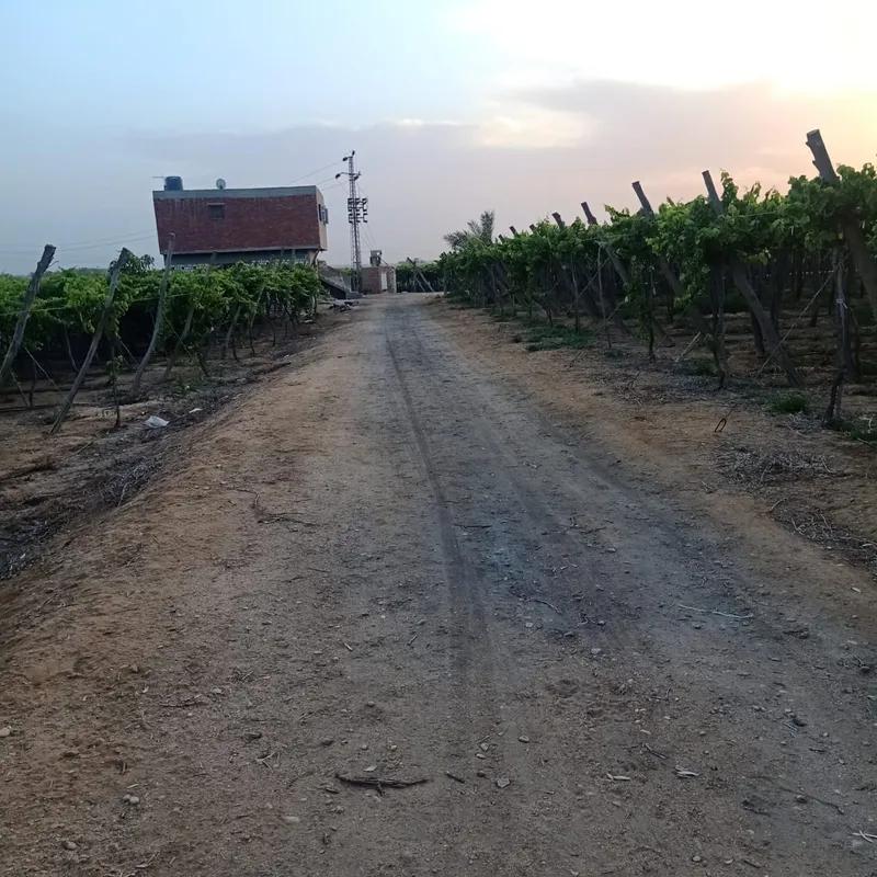 ارض زراعية للبيع بمساحة 33600 متر في مركز وادى النطرون البحيرة 