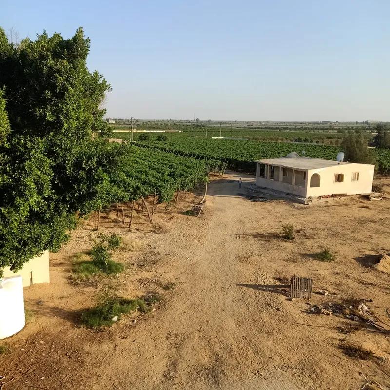 ارض زراعية للبيع بمساحة 33600 متر في مركز وادى النطرون البحيرة 