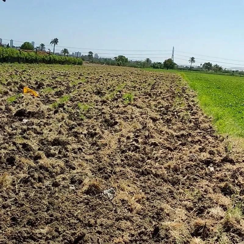 Land agriculture for sale with an area of 4200 meters in  Giza  - Image 3