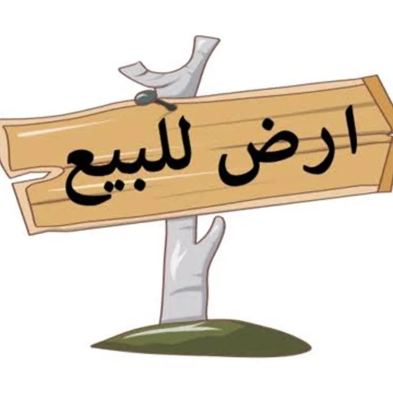 Land agriculture for sale with an area of 92 meters in  Giza  - Image 4