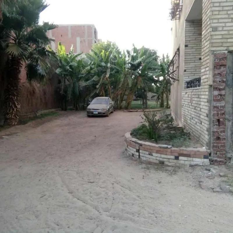 Building for sale with an data.area 2,750 meters and 5 data.rooms in   Giza  - Image 4