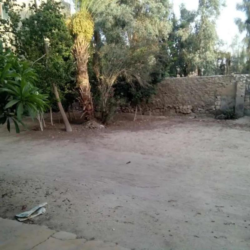 Building for sale with an data.area 2,750 meters and 5 data.rooms in   Giza  - Image 3