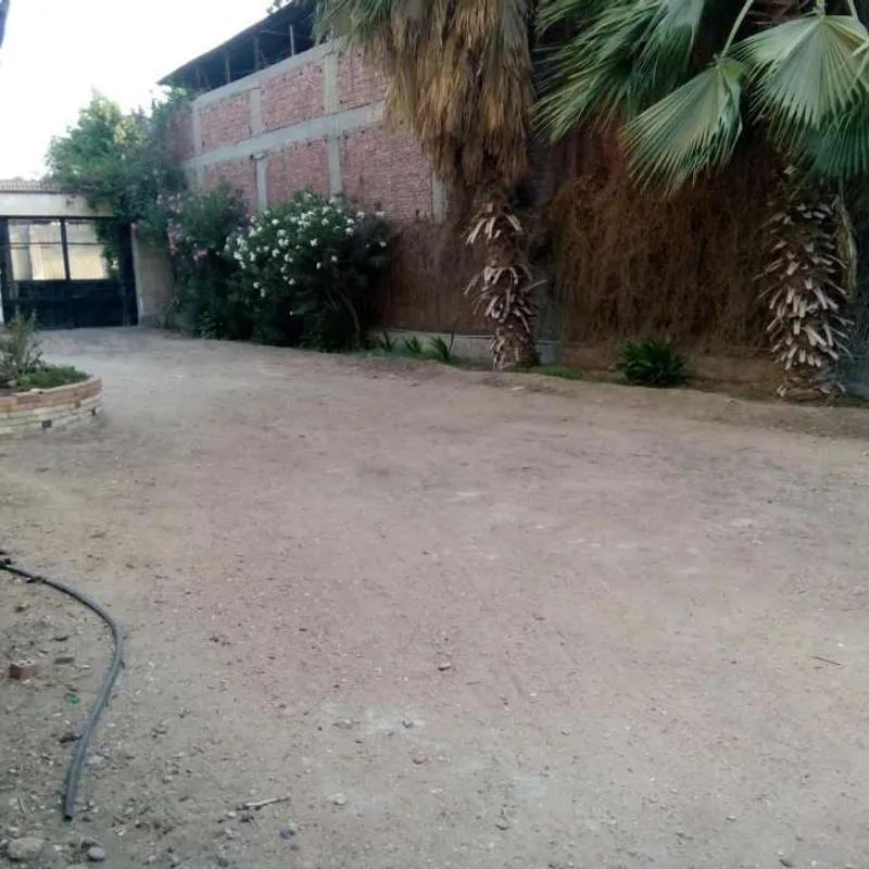 Building for sale with an data.area 2,750 meters and 5 data.rooms in   Giza  - All Images