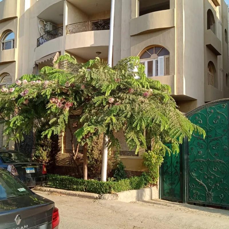 فيلا للبيع بمساحة 587 متر و 3 غرف في التجمع الخامس القاهرة - كل الصور