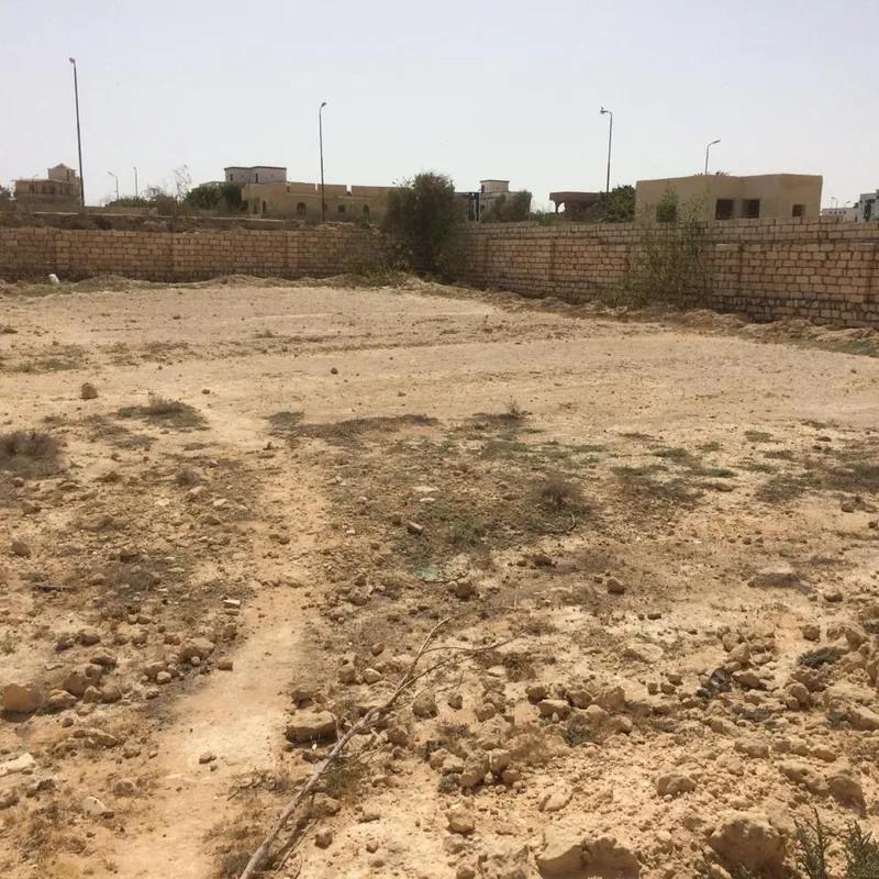 ارض مبانى للبيع بمساحة 504 متر في الظاهر القاهرة 