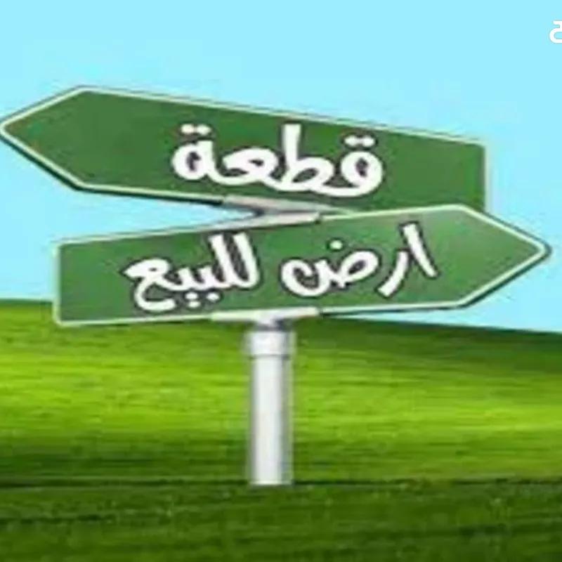 ارض مبانى للبيع بمساحة 207 متر في الوايلى القاهرة 