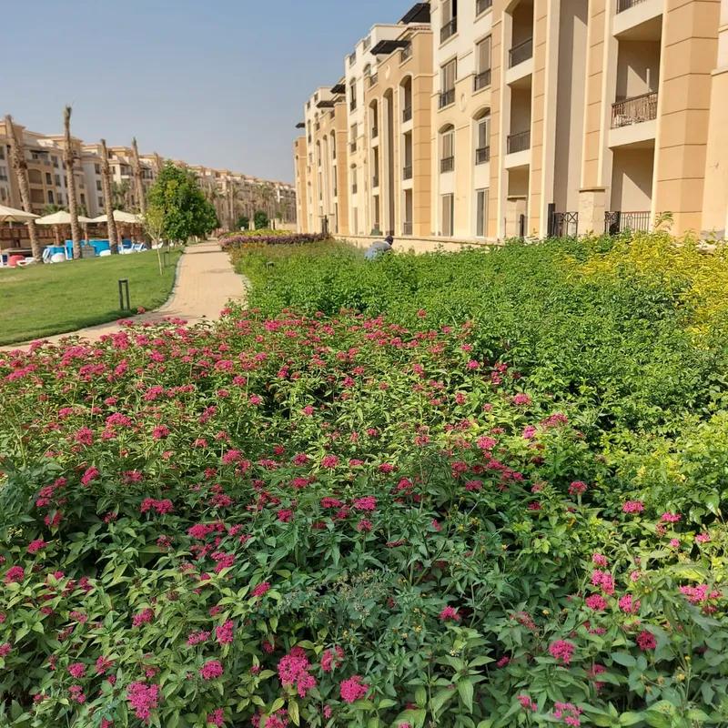 شقة للبيع بمساحة 220 متر و 4 غرف في التجمع الخامس القاهرة