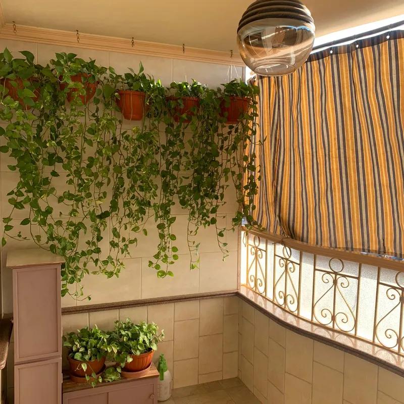 Apartment for sale with an data.area 150 meters and 3 data.rooms in  Nasr City Cairo  - Image 4