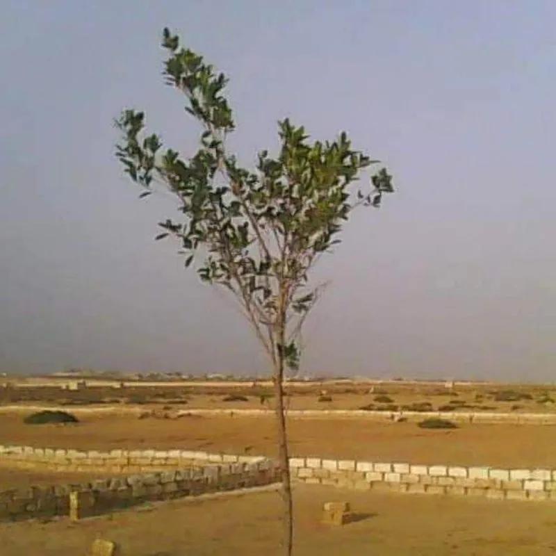 Land building for sale with an area of 830 meters in    - Image 4