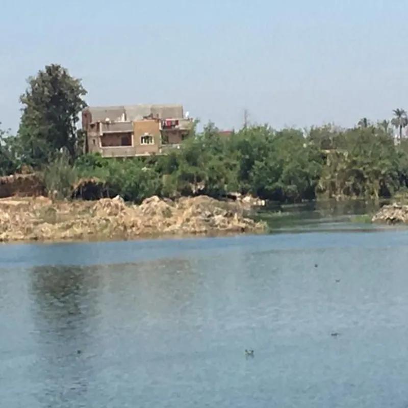 ارض زراعية للبيع بمساحة 1062 متر في  المنوفية 