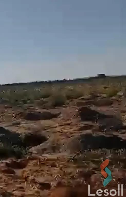 زراعية للبيع بمساحة 252,049.8 متر في 6 اكتوبر الجيزة 