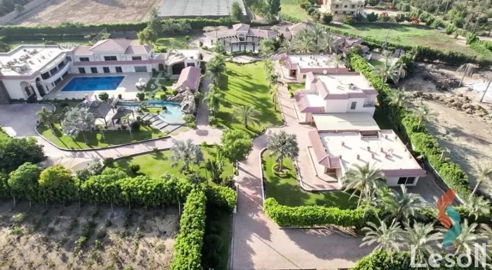 Building for sale with an data.area 16,800 meters and 10 data.rooms in  Kerdasa Giza  - All Images