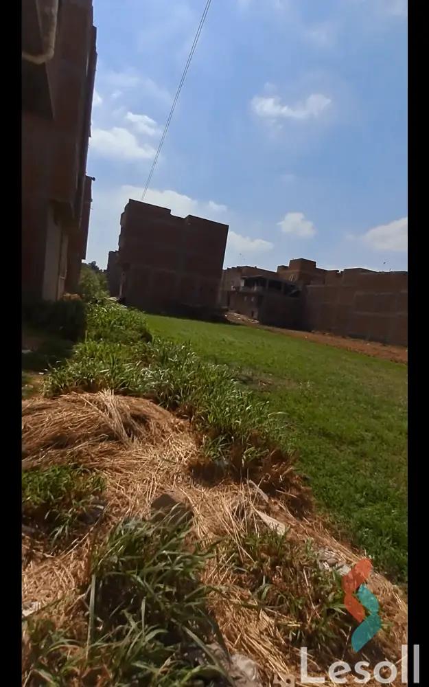 ارض مبانى للبيع بمساحة 1000 متر في المحلة الكبرى الغربية 