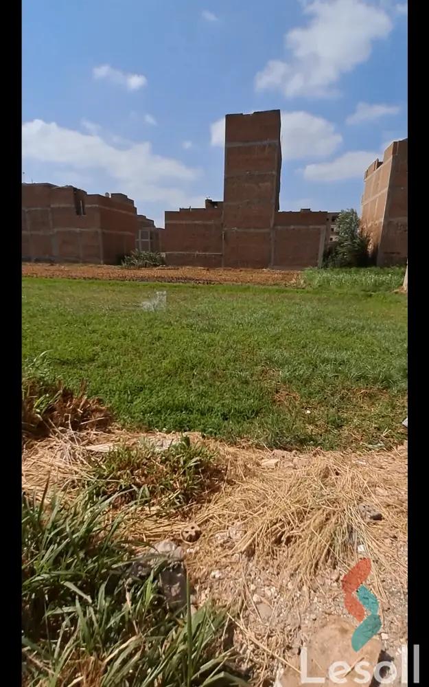 ارض مبانى للبيع بمساحة 1000 متر في المحلة الكبرى الغربية 