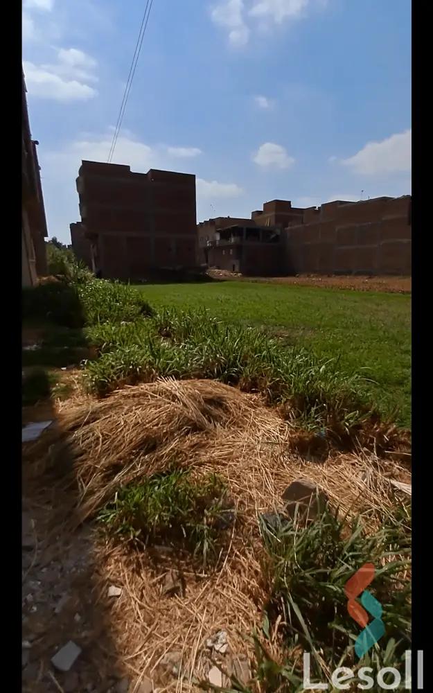 ارض مبانى للبيع بمساحة 1000 متر في المحلة الكبرى الغربية 