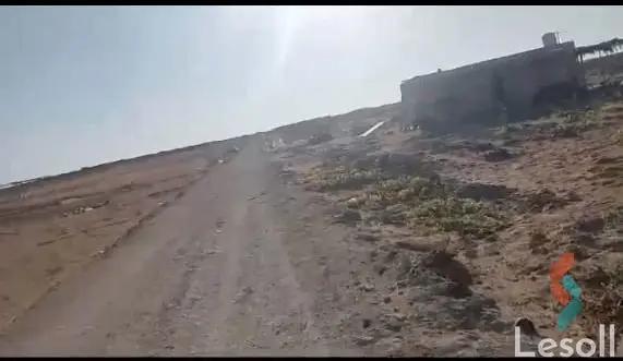 زراعية للبيع بمساحة 252,049.8 متر في 6 اكتوبر الجيزة 