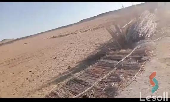 زراعية للبيع بمساحة 252,049.8 متر في 6 اكتوبر الجيزة 