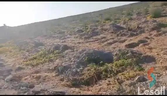 زراعية للبيع بمساحة 252,049.8 متر في 6 اكتوبر الجيزة 