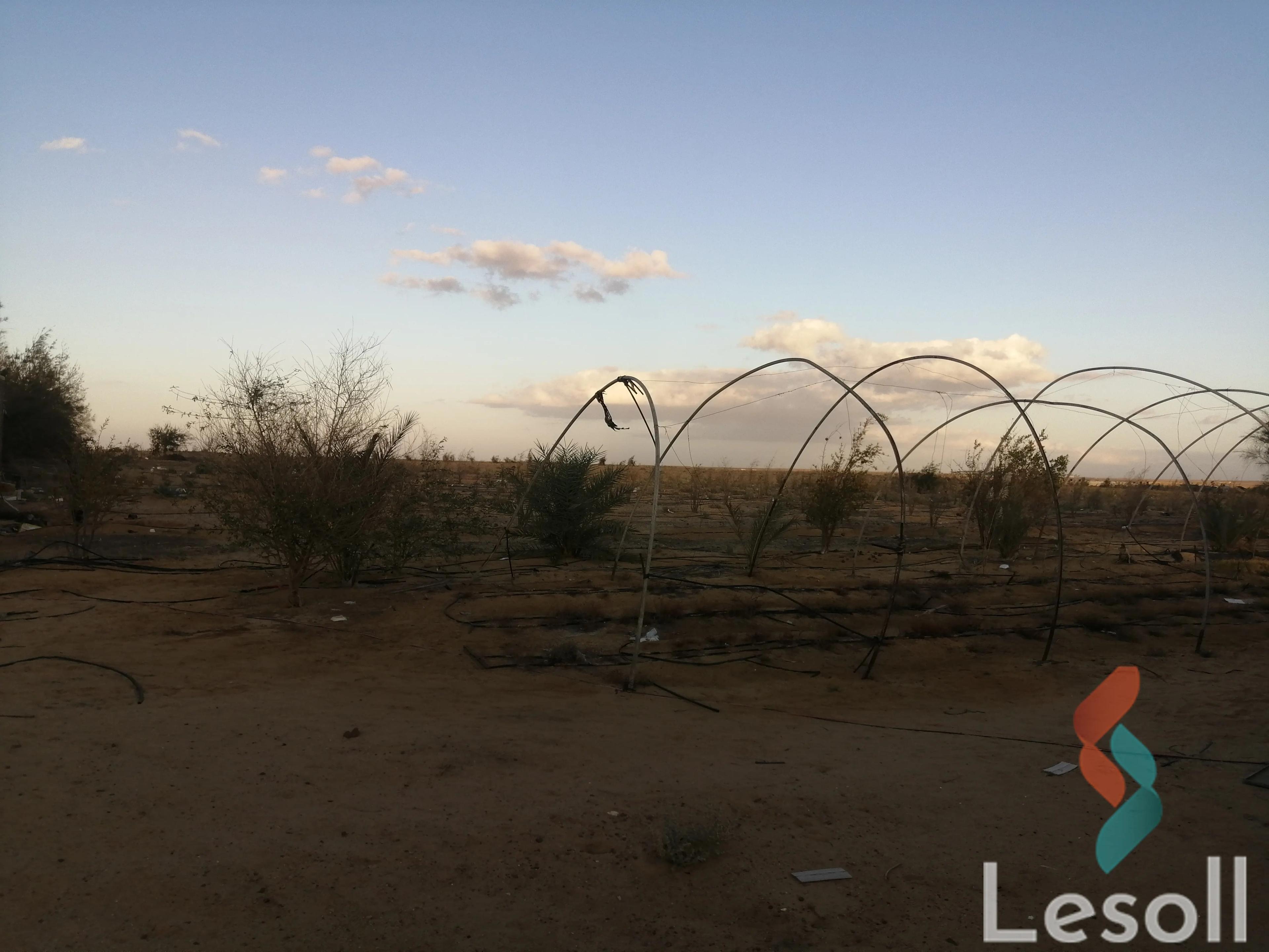 زراعية للبيع بمساحة 105,000 متر في قسم مارينا العلمين السياحي مطروح 