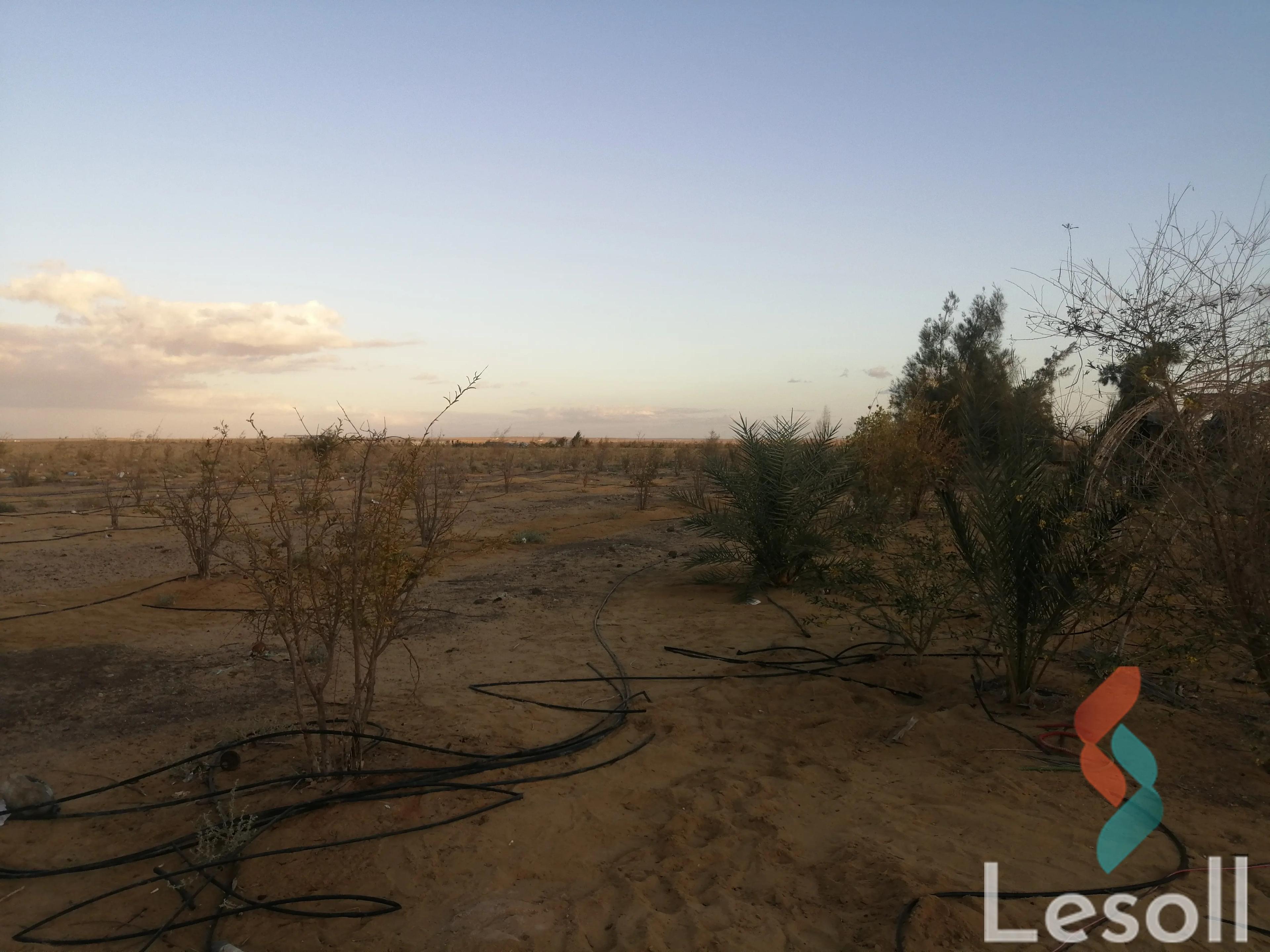 زراعية للبيع بمساحة 105,000 متر في قسم مارينا العلمين السياحي مطروح 