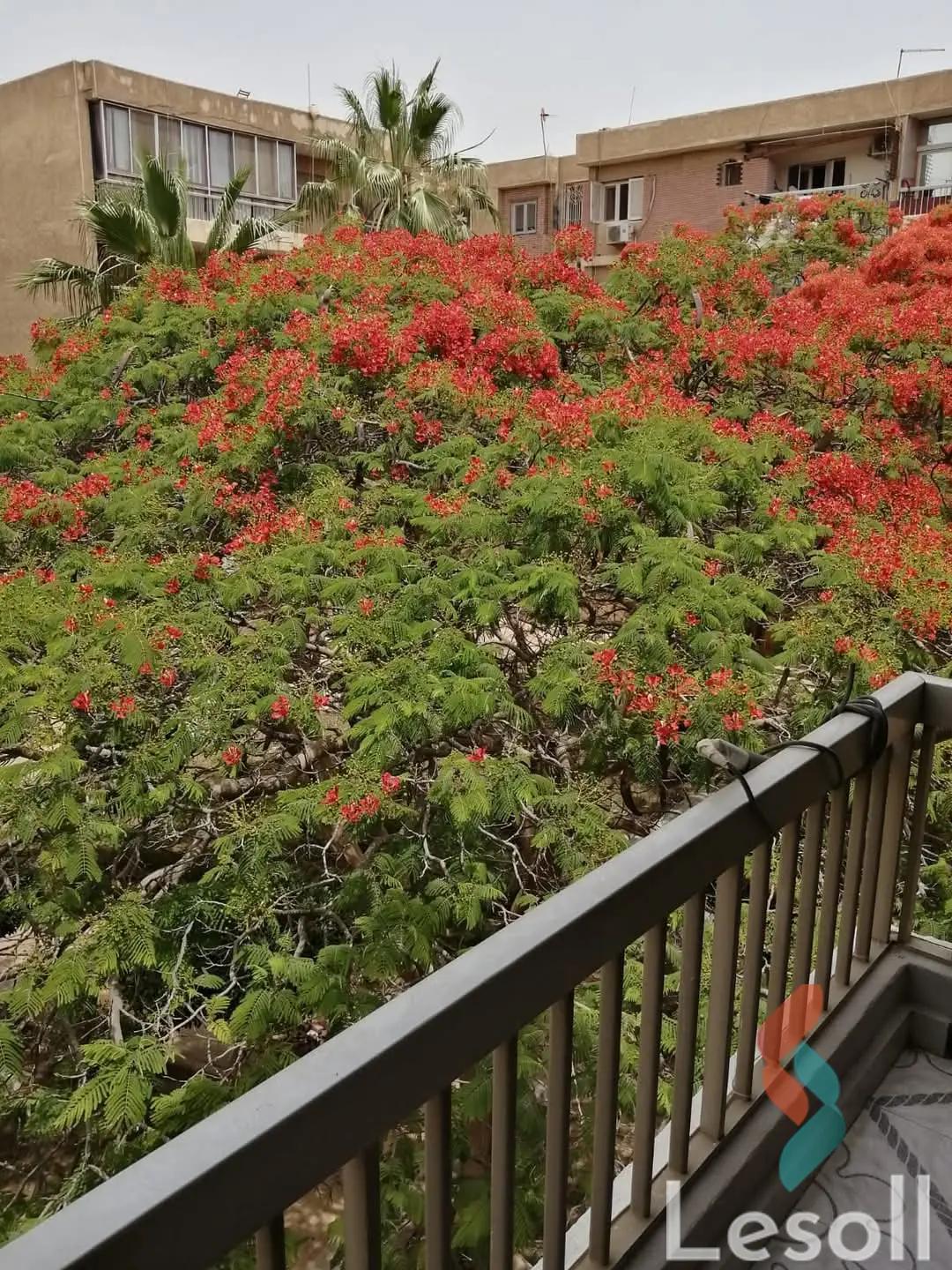 شقة للبيع بمساحة 266 متر و 3 غرف في  6 اكتوبر الجيزة - صورة 4