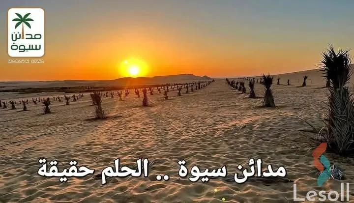 زراعية للبيع بمساحة 21,000 متر في سيوة مطروح 