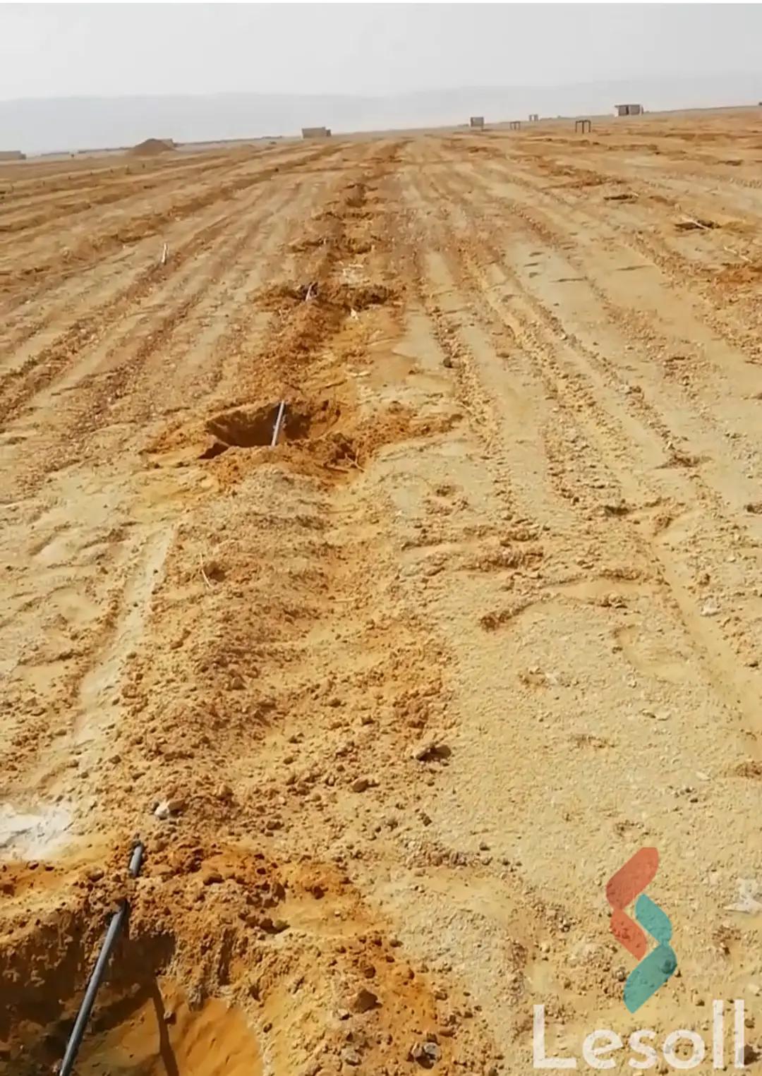 زراعية للبيع بمساحة 12,600 متر في أسيوط الجديدة اسيوط 