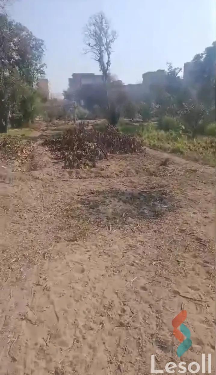 مبانى للبيع بمساحة 495 متر في الإسماعيلية الإسماعلية 