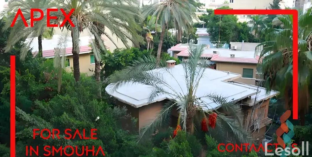 شقة للبيع بمساحة 205 متر و 4 غرف في  سموحة الاسكندرية - كل الصور