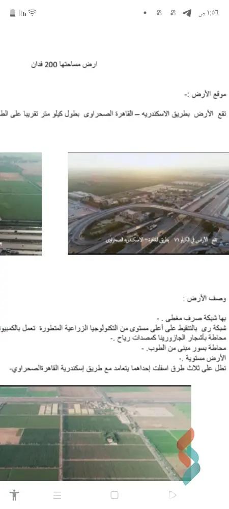 ارض زراعية للبيع بمساحة 12600 متر في السيوف الاسكندرية 