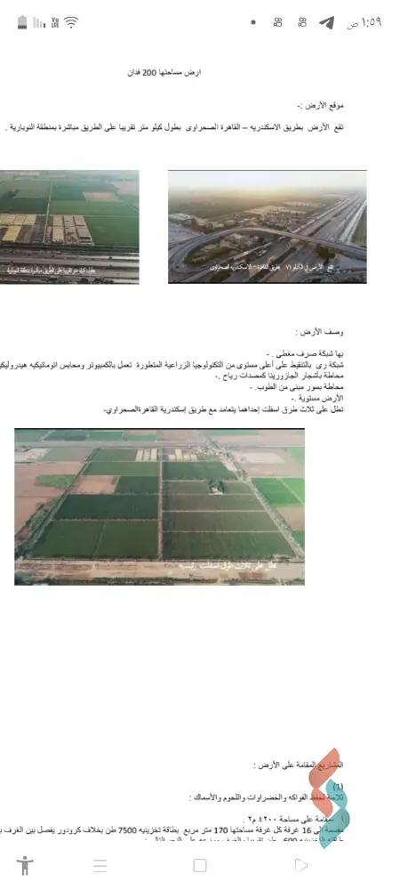 ارض زراعية للبيع بمساحة 12600 متر في السيوف الاسكندرية 