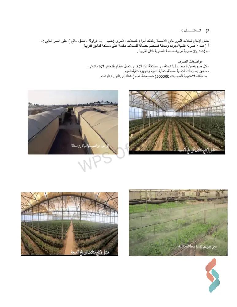 ارض زراعية للبيع بمساحة 12600 متر في السيوف الاسكندرية 