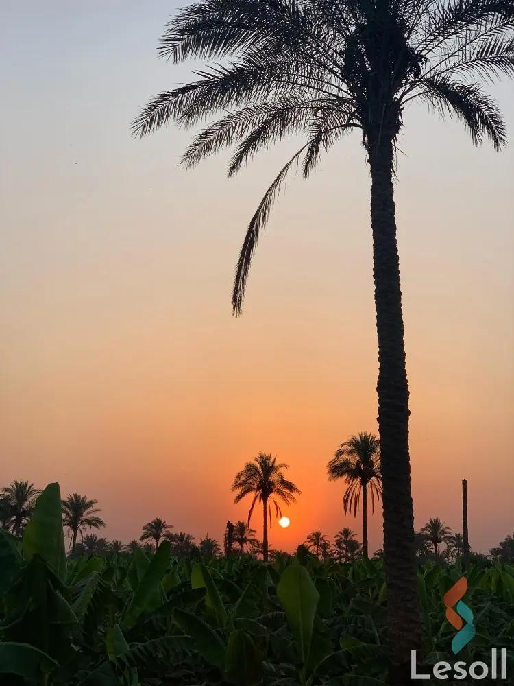 ارض زراعية للبيع بمساحة 175 متر في كوم حمادة البحيرة 