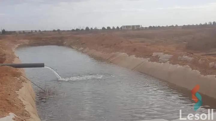 Land agriculture for sale with an area of 1050000 meters in Tamiya Fayoum  - Image 2