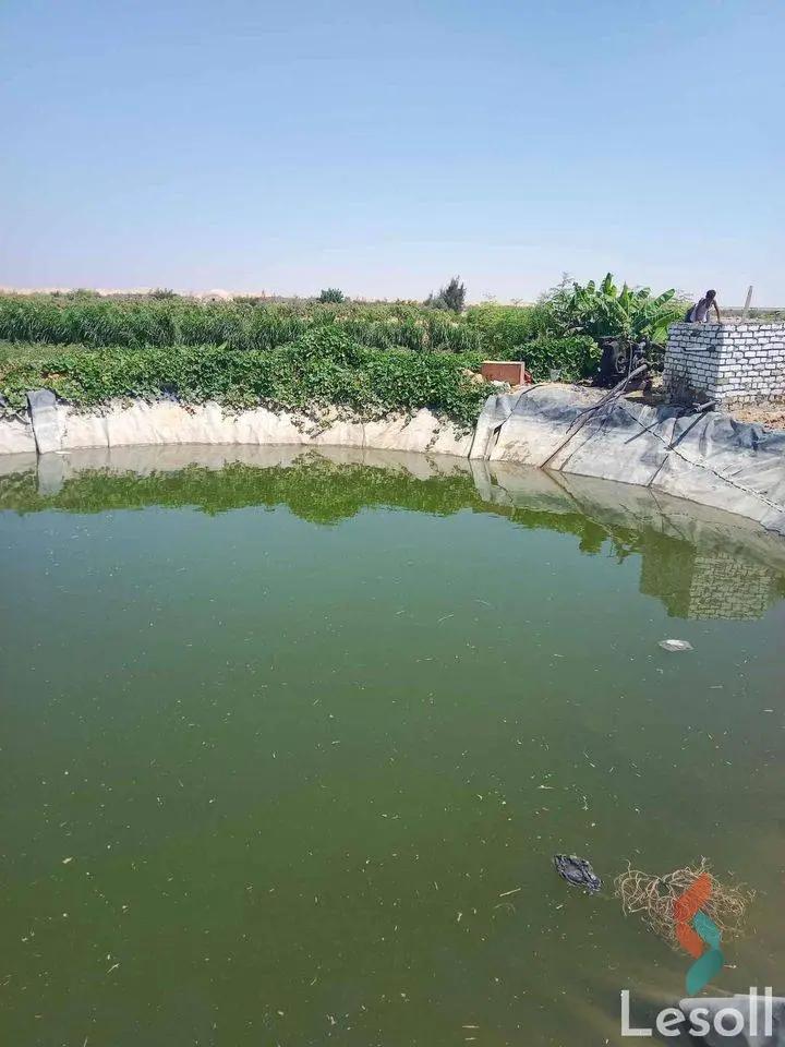 Land agriculture for sale with an area of 1050000 meters in Tamiya Fayoum  - All Images