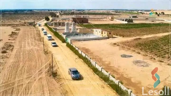 Land agriculture for sale with an area of 200 meters in Tamiya Fayoum  - Image 2