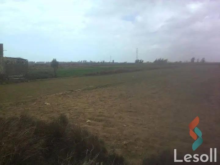 Land agriculture for sale with an area of 1050000 meters in Tamiya Fayoum  - Image 3