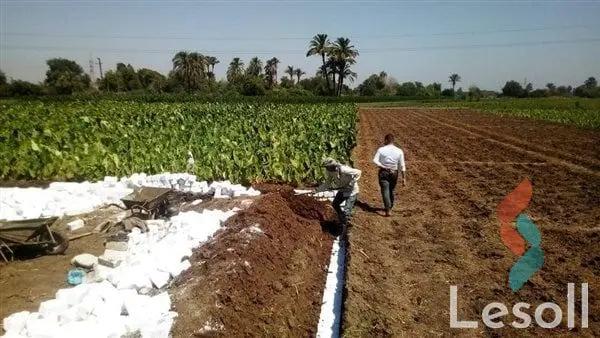 Land agriculture for sale with an area of 126000 meters in Tamiya Fayoum 