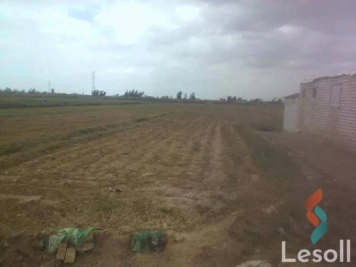 Land agriculture for sale with an area of 1050000 meters in Tamiya Fayoum  - Image 2