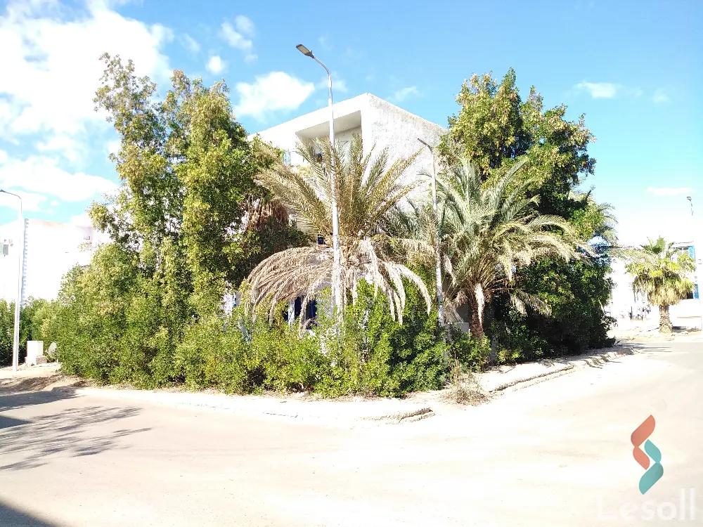 شقة بحديقة للبيع بمساحة 70 متر و غرفتان في دهب جنوب سيناء