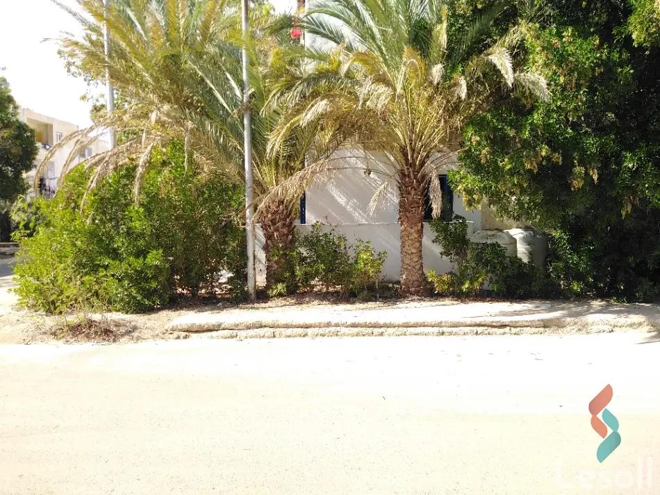 شقة بحديقة للبيع بمساحة 70 متر و غرفتان في دهب جنوب سيناء