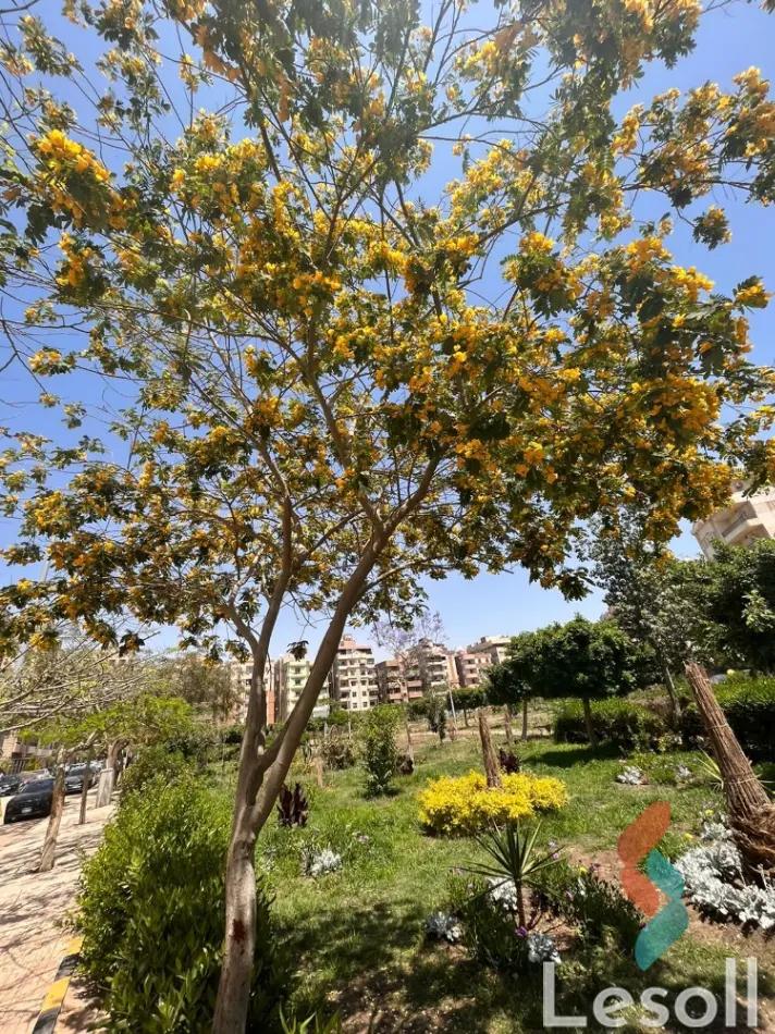 Apartment for sale with an data.area 165 meters and 3 data.rooms in  Nasr City Cairo 